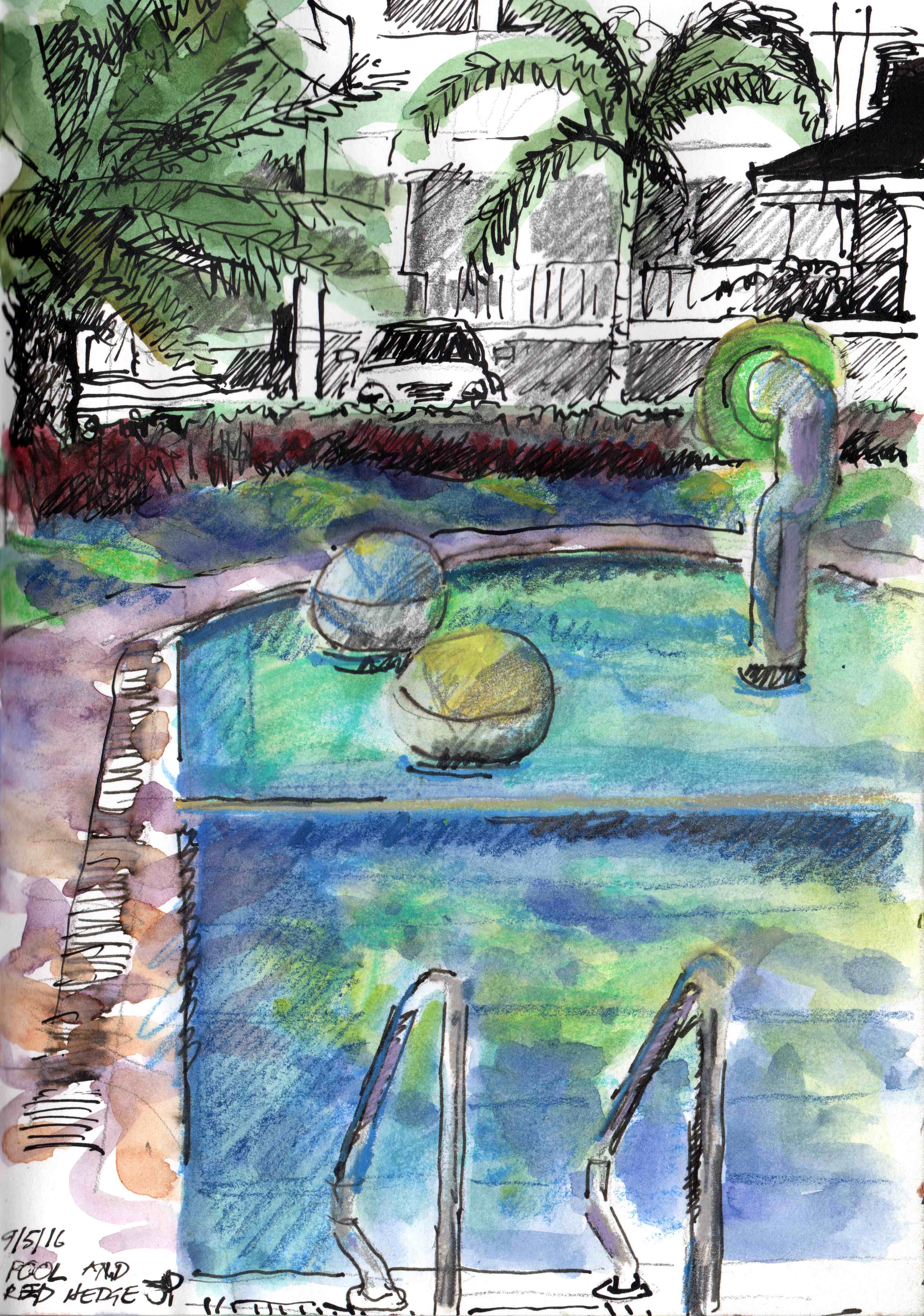 ACE.037-pool and red hedge 160509-2