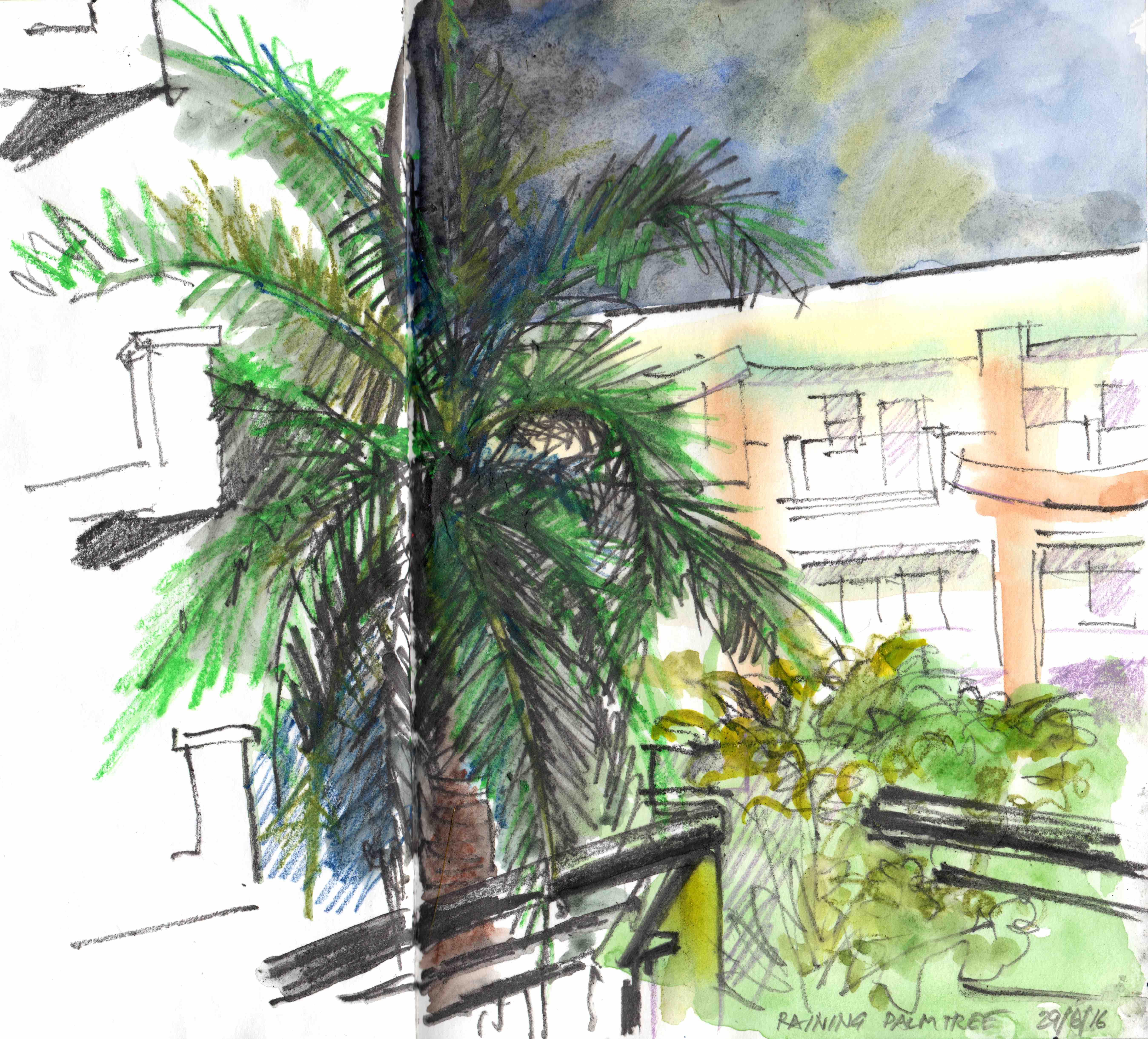 ACE.088-raining on palm tree 160629-2