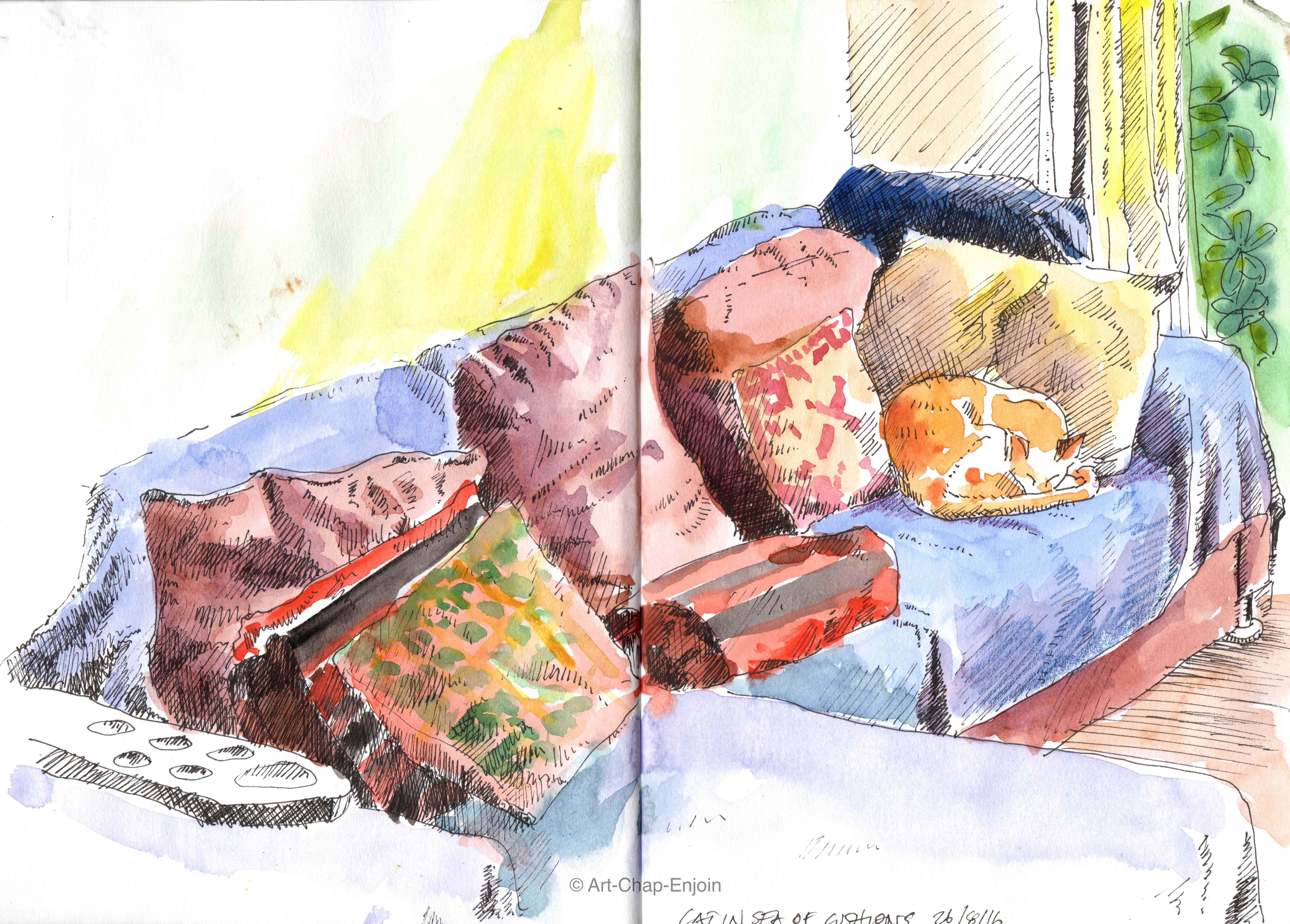 ACE.146-cat in a sea of cushions 160826-2-wm