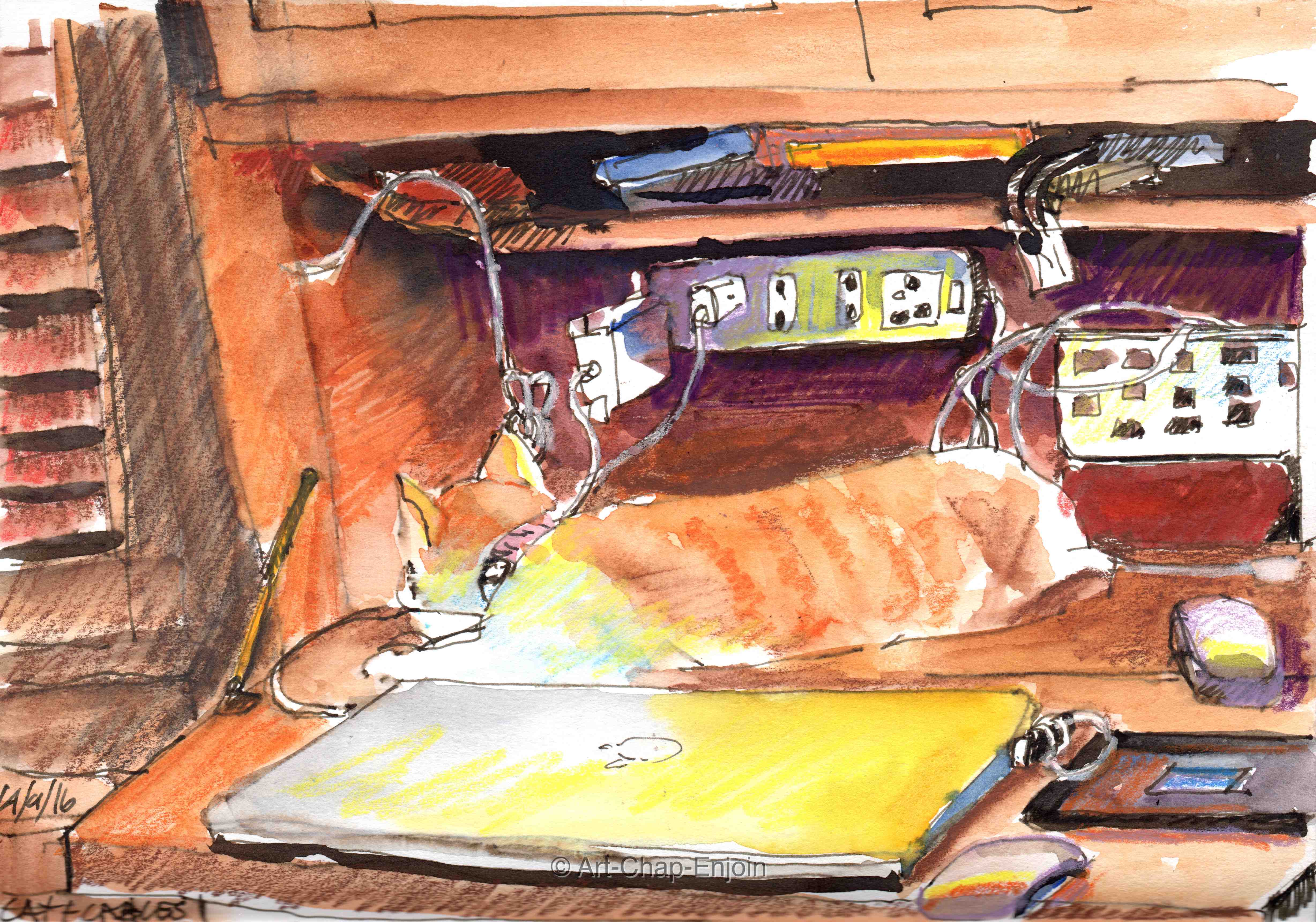 ace-165-cat-and-cables-160914-2-wm