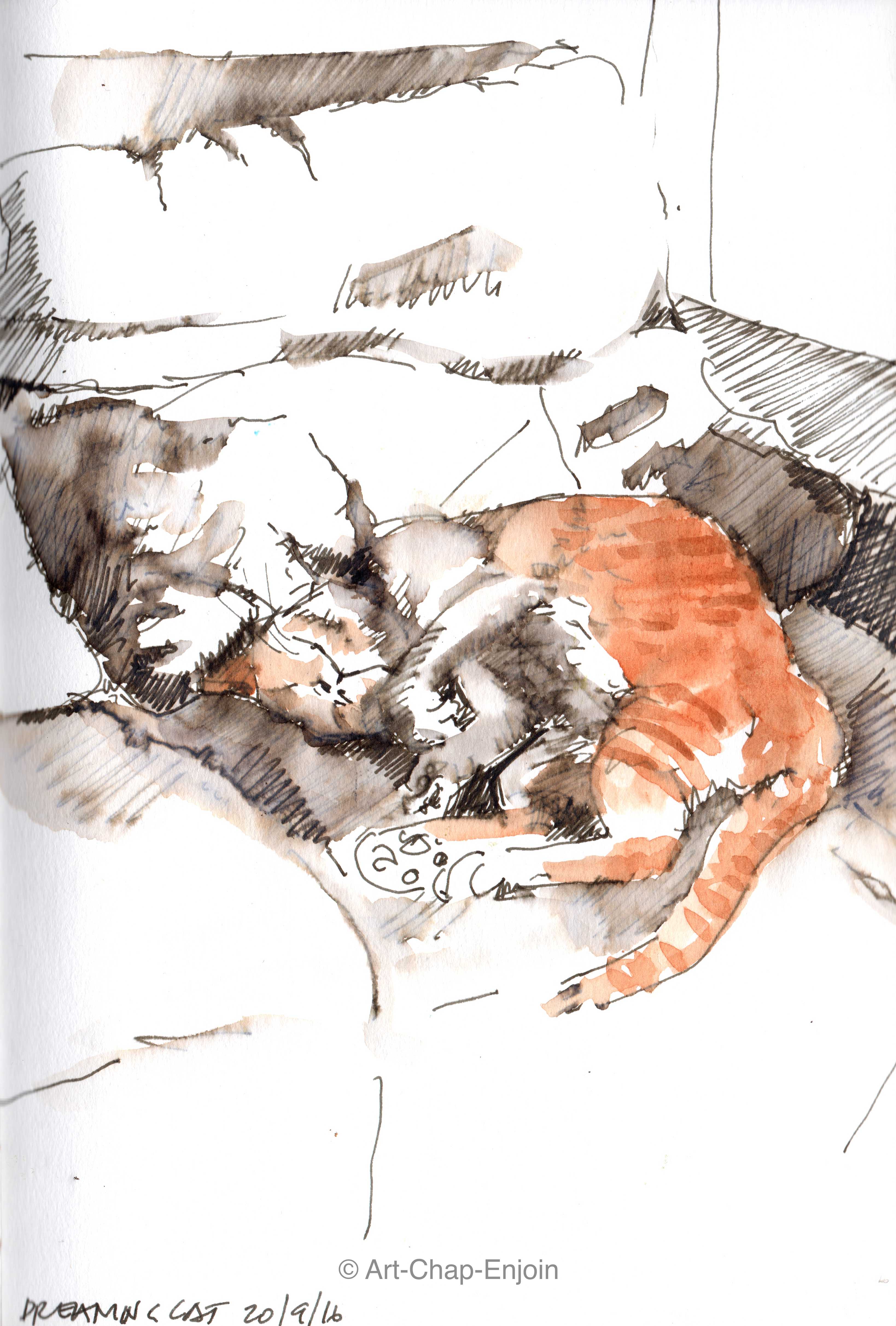 ace-171-dreaming-cat-160920-2-wm