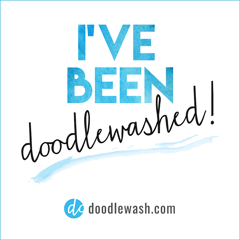 ive-been-doodlewashed-800x800