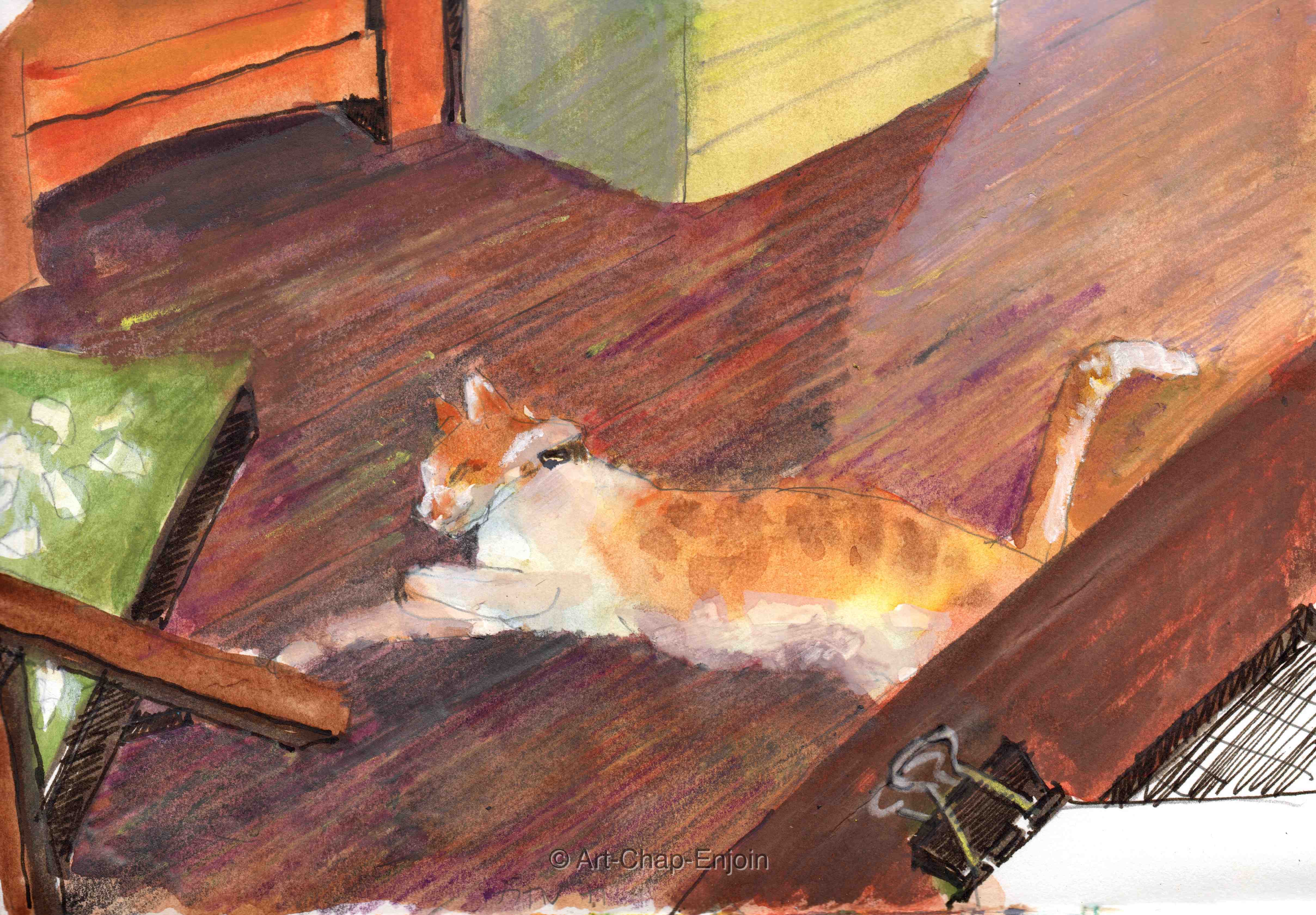 ace-202-cat-on-the-floor-161021-2-wm