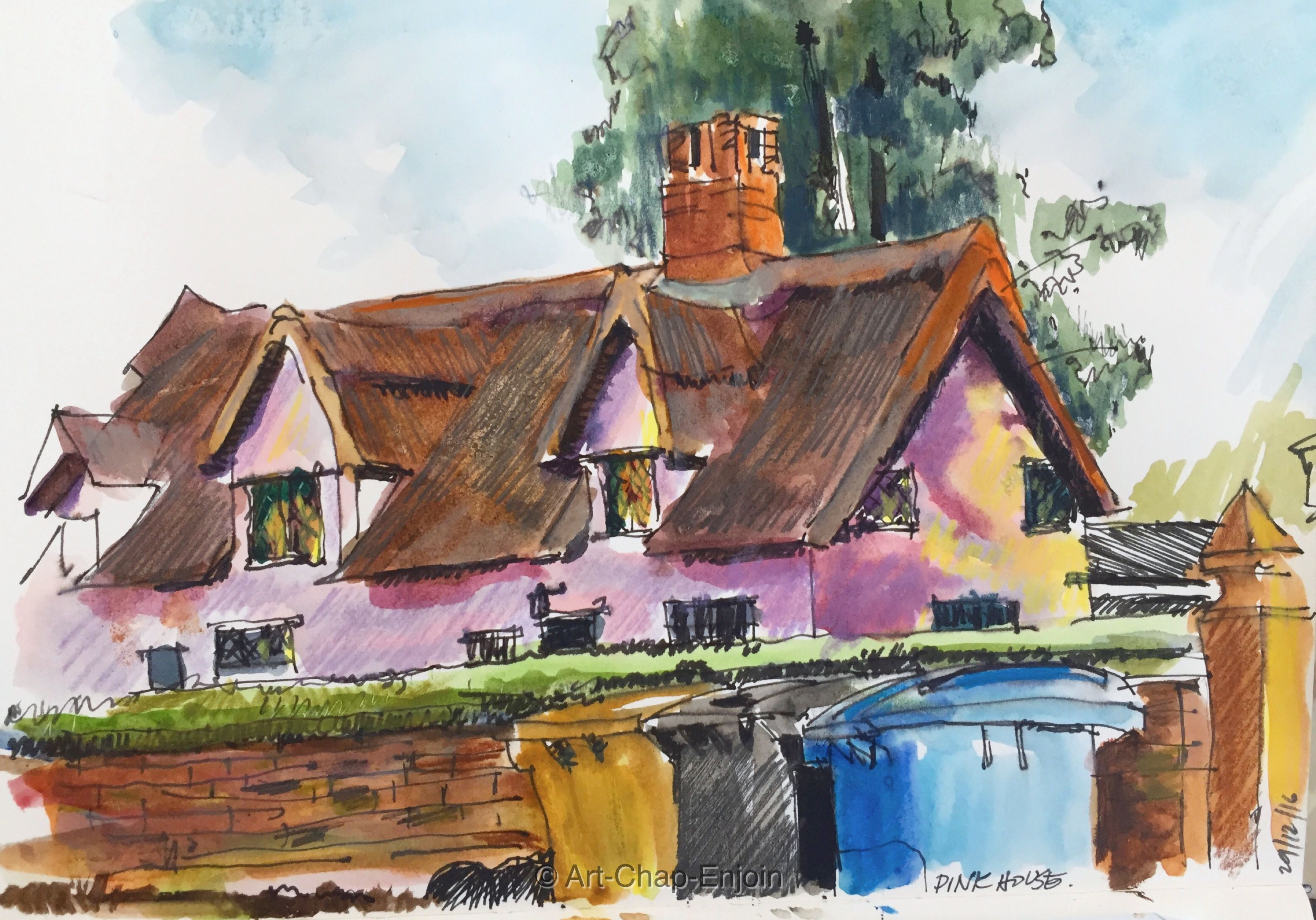 ace-271-pink-house-161229-2-wm