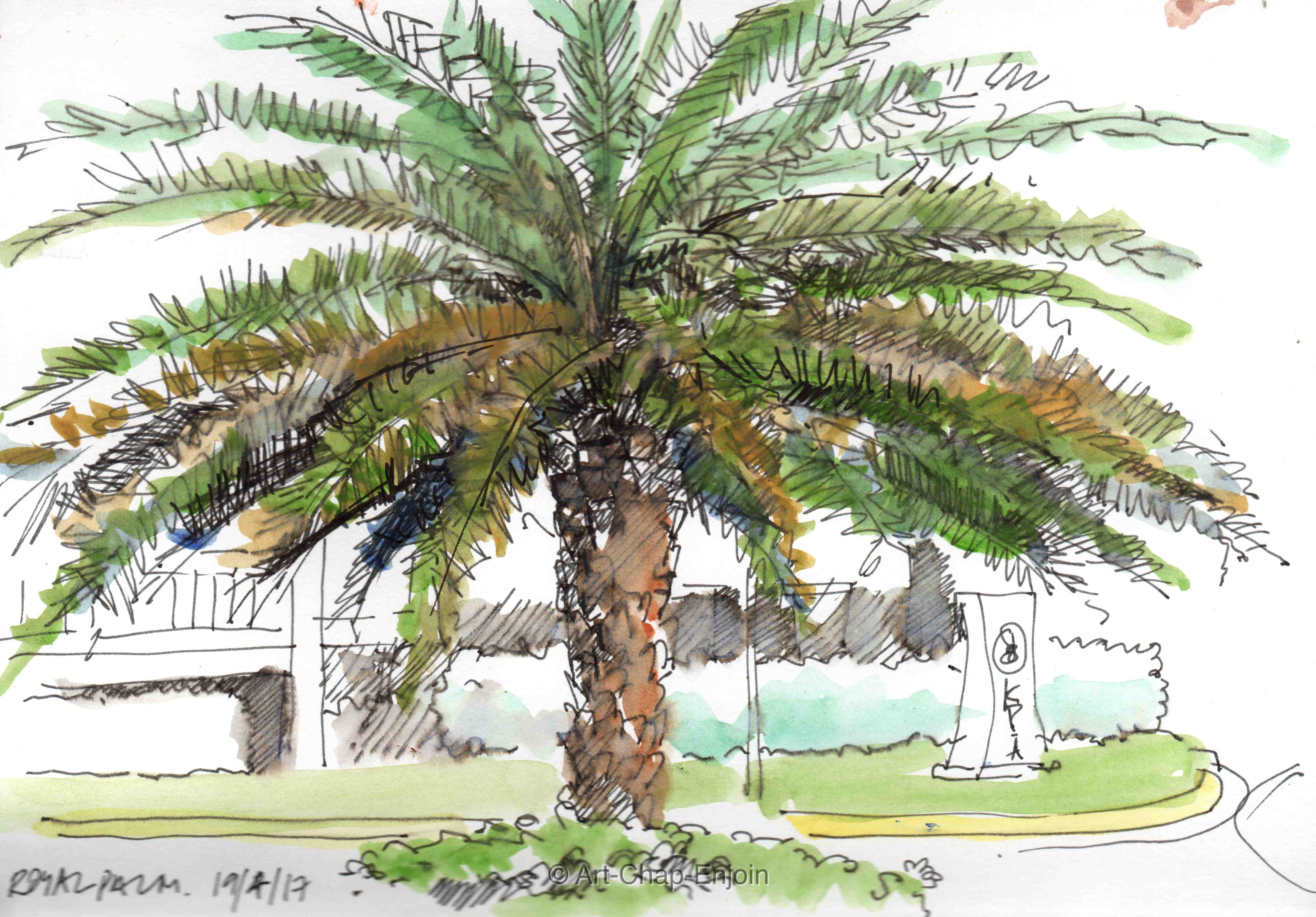 ACE.364-royal palm 170419-2-wm