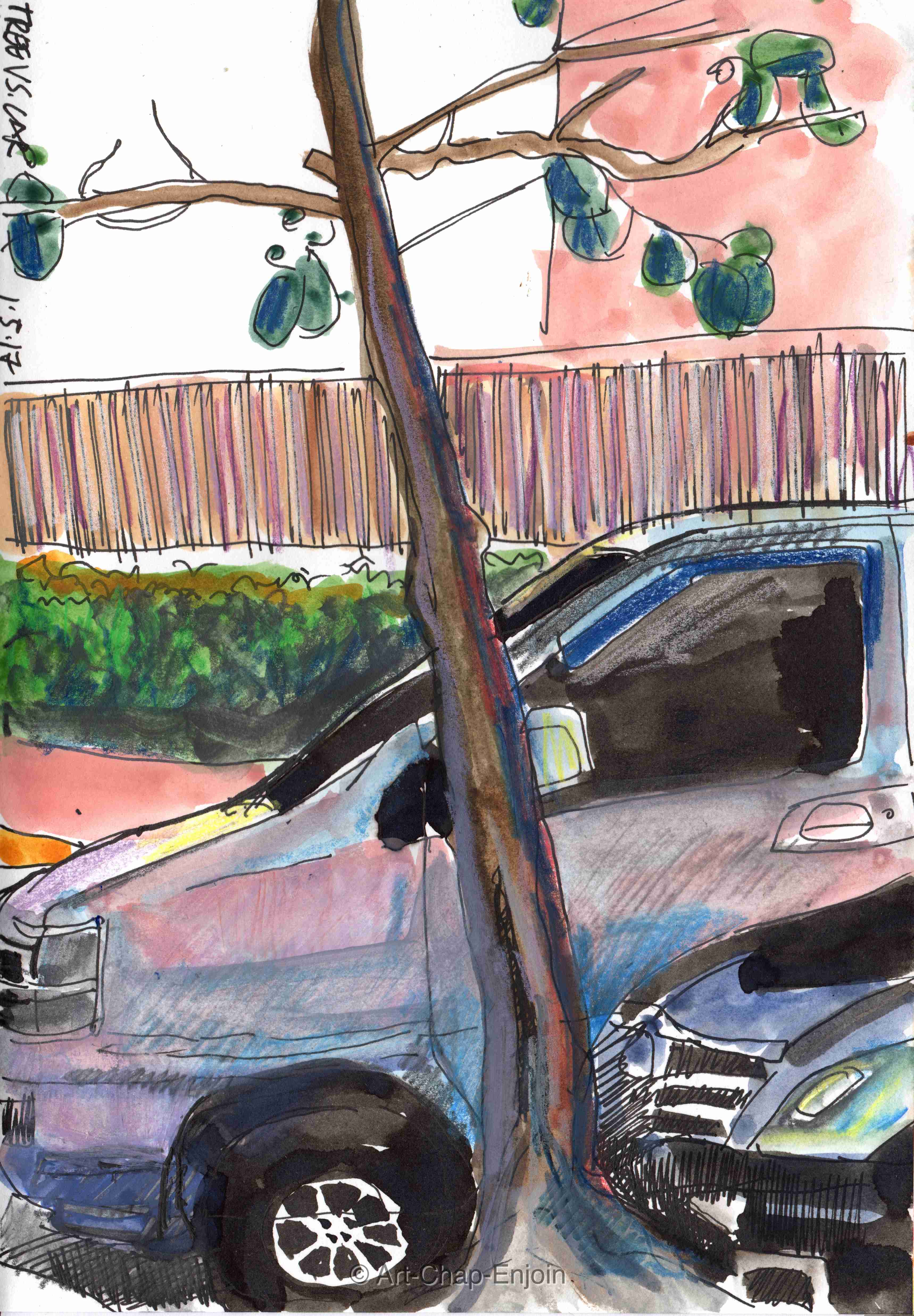 ACE.376-tree vs car 170501-2-wm