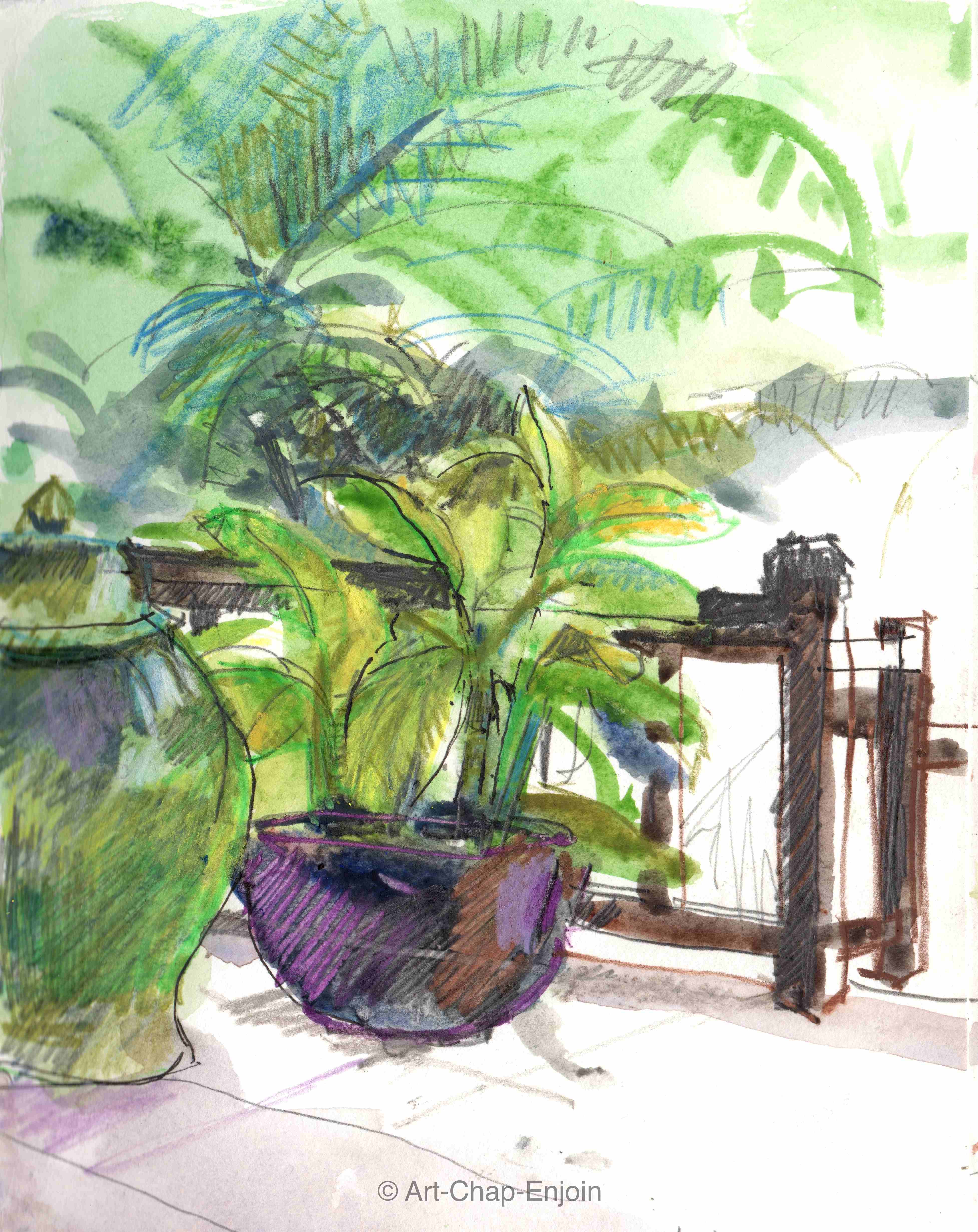 ACE.419.pot plant 170616-2-wm