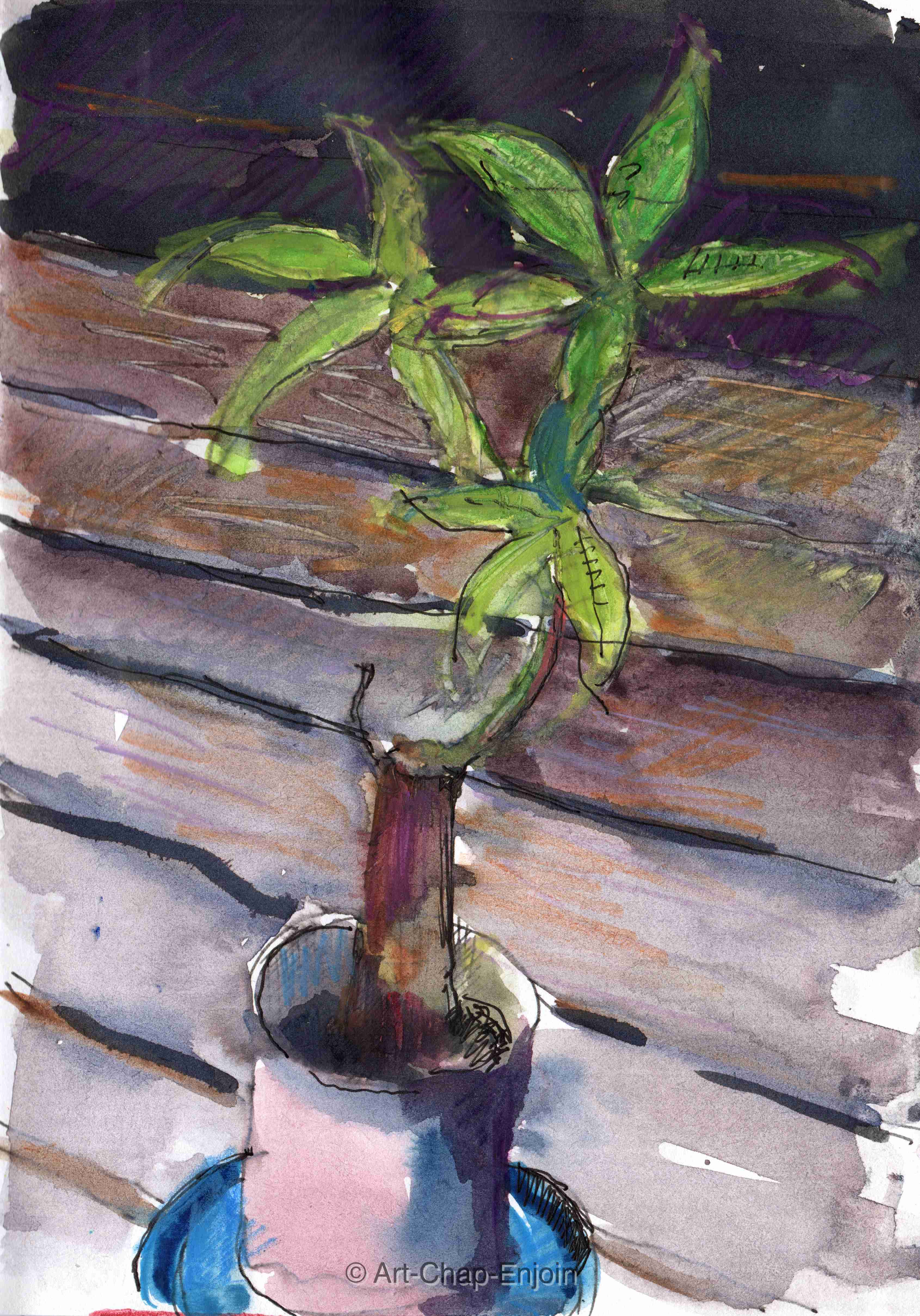 ACE.509-sad plant 170927-2-wm